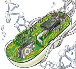 未来30年新兴科技趋势报告 生物科技领域的变革与机遇