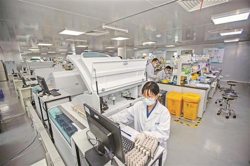 深企体外诊断产品远销海外 生物科技技术开发的全球化之路